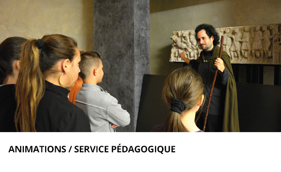 Animations / Services pédagogiques